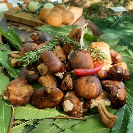 Hotel Agorastos Luxury Living 3*