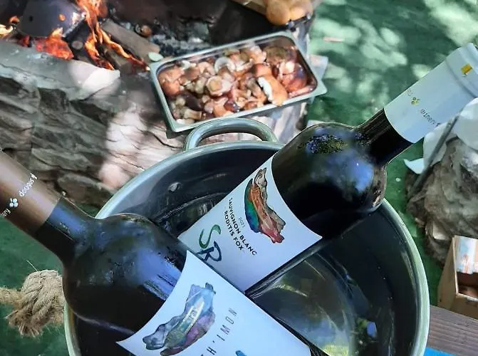 Agorastos Luxury Living Платамонас