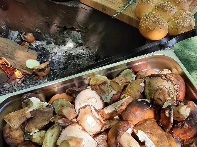 Agorastos Luxury Living 3*