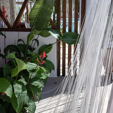 Hotel Agorastos Luxury Living 3*