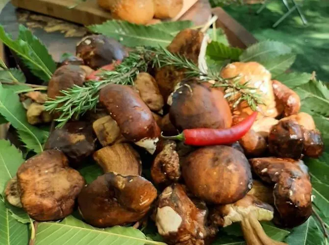 Hotel Agorastos Luxury Living 3*